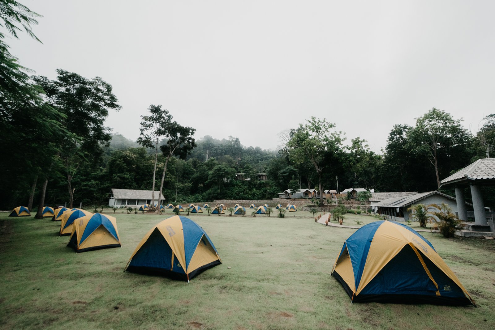 Luxury Camp & Tents | Green Jungle Park